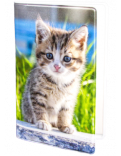 PLÅNKA KATT PÅ STEN