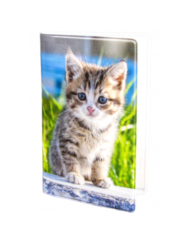 PLÅNKA KATT PÅ STEN