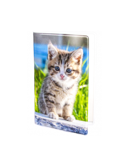 PLÅNKA KATT PÅ STEN