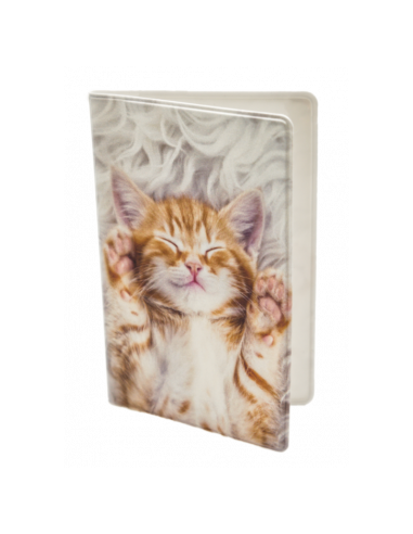 PLÅNKA KATT PÅ FÄLL