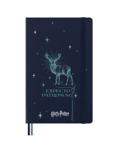 HARRY POTTER EP ANTECKNINGSBOK