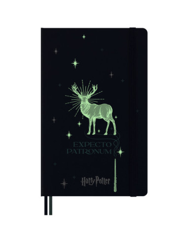 HARRY POTTER EP ANTECKNINGSBOK