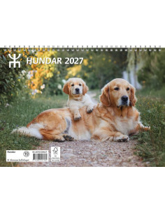 2027 HUNDAR SMALL