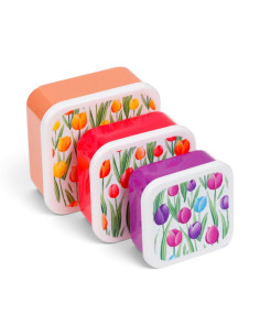 LÅDA 3P TULIPS 2