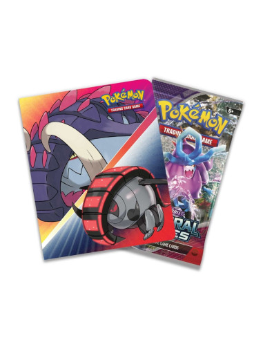 POKEMON MINI ALBUM BOOSTER