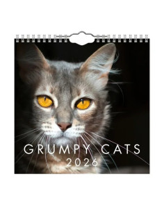 2026 VÄGGKALENDER GRUMPY CAT MINI
