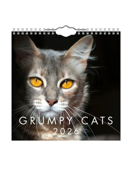 2026 VÄGGKALENDER GRUMPY CAT MINI