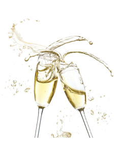 SERVETTER CHEERS