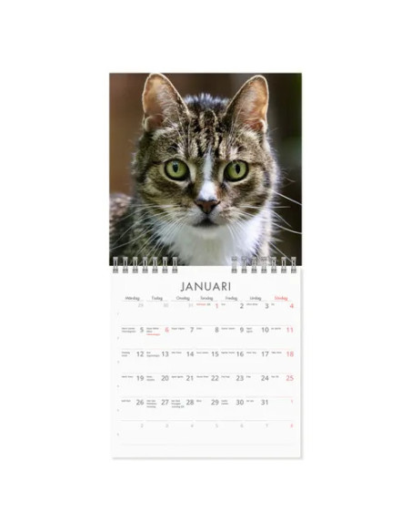 2026 VÄGGKALENDER GRUMPY CAT MINI