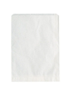 PAPPERSPÅSAR 25-PACK