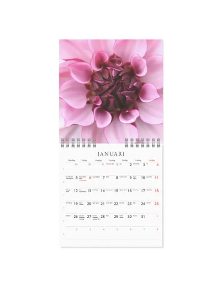 2026 VÄGGKALENDER BLOM MINI