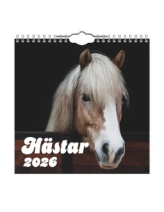 2026 VÄGGKALENDER HÄST MINI