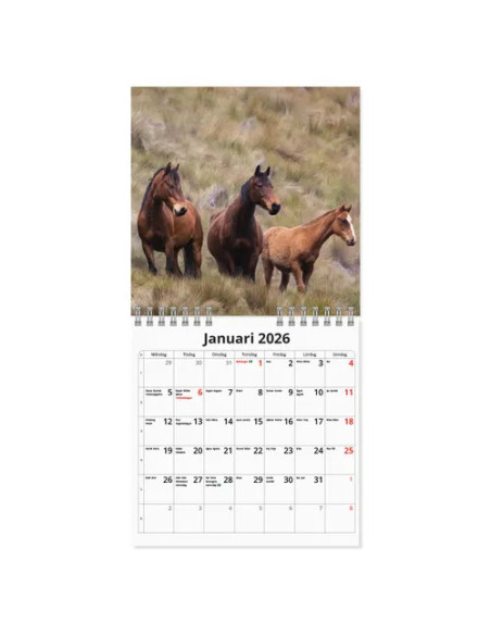 2026 VÄGGKALENDER HÄST MINI