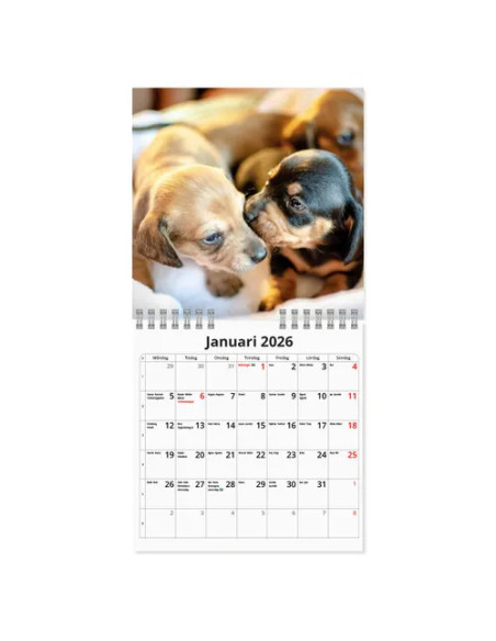 2026 VÄGGKALENDER HUND MINI