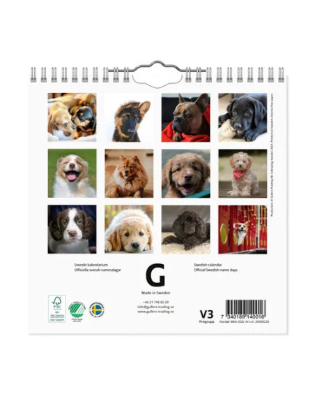 2026 VÄGGKALENDER HUND MINI