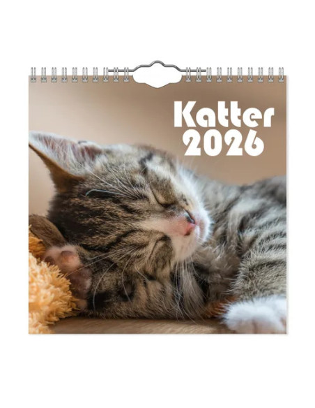 2026 VÄGGKALENDER KATT MINI
