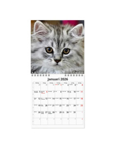 2026 VÄGGKALENDER KATT MINI 2