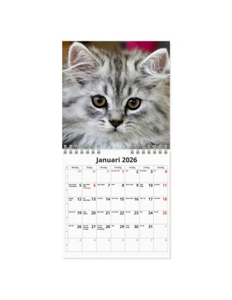 2026 VÄGGKALENDER KATT MINI