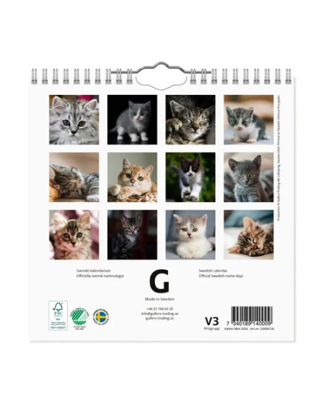 2026 VÄGGKALENDER KATT MINI