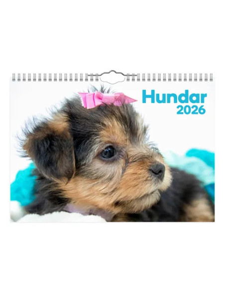 2026 VÄGGKALENDER HUND SMALL