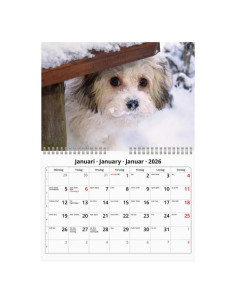 2026 VÄGGKALENDER HUND SMALL 2