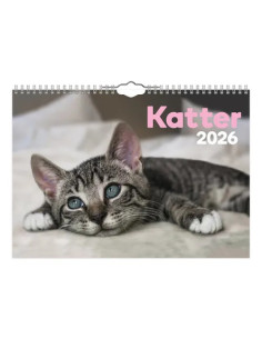 2026 VÄGGKALENDER KATT SMALL