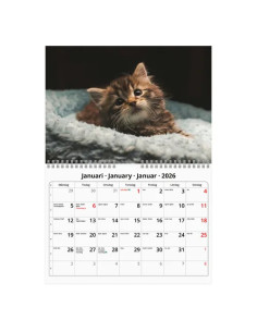 2026 VÄGGKALENDER KATT SMALL 2