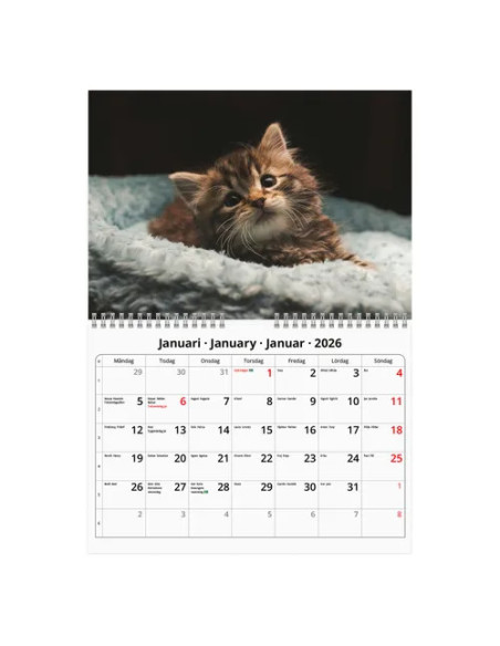 2026 VÄGGKALENDER KATT SMALL