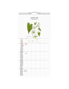 2026 FAMILJEKALENDER VÄXTER 2