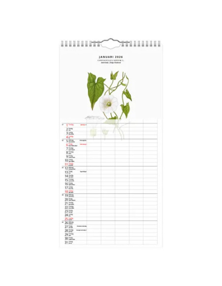 2026 FAMILJEKALENDER VÄXTER