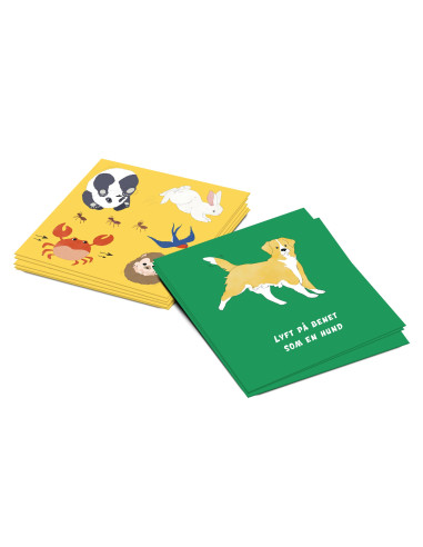 AKTIVITETSKORT RÖRELSE