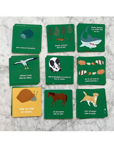 AKTIVITETSKORT RÖRELSE