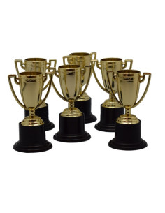 POKAL 6P