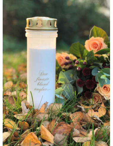 GRAVLJUS FINASTE 98H