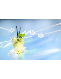 CRUSHED ICE BAGS 2