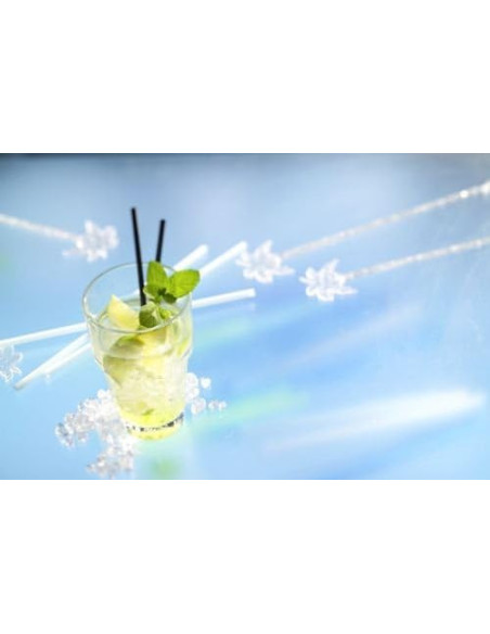 CRUSHED ICE BAGS