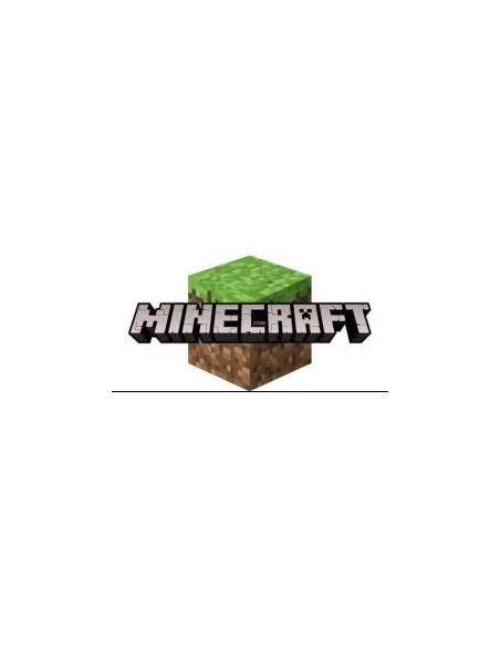 MINECRAFT MINIS