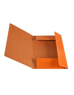 G-MAPP PAPP ORANGE 2