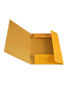 G-MAPP PAPP GUL 2