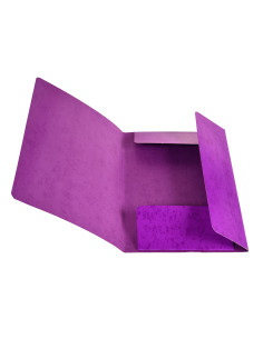 G-MAPP PAPP LILA 2