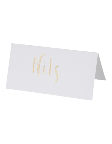 PLACERINGSKORT VITA 10P