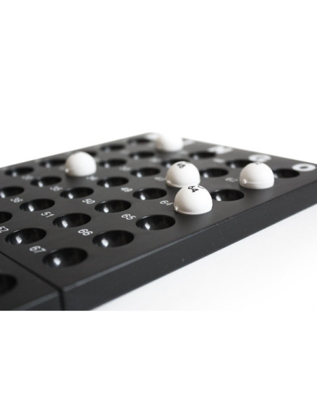 BINGO SPEL