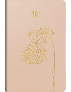 2026 CLASSICO MONSTERA