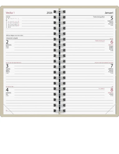 2026 CLASSICO MONSTERA