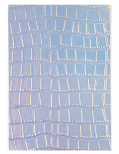 ANTECKNINGSBLOCK A6 HOLOGRAM