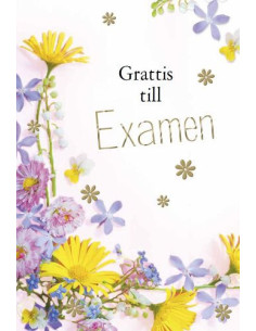 KORT EXAMEN