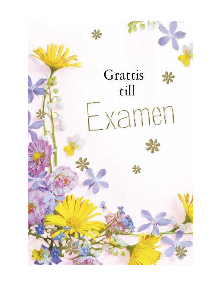 KORT EXAMEN