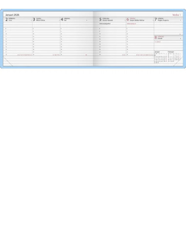 2026 LILLA PLAN TREND WIRE