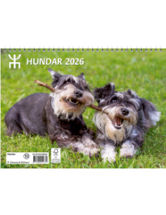 2026 HUNDAR