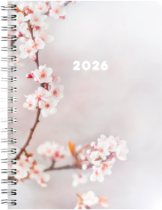 2026 A6 CHERRY 12 MÅN